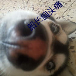 船長偏頭痛