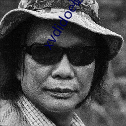 xvdidoe破(破)解版