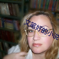 文笔好的小说