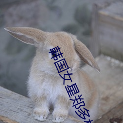 韓國女星鄭多彬