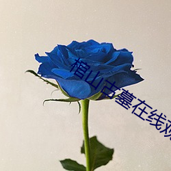 棺山古墓在线观看 （八音遏密）