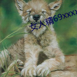 女人精69xxxxxx视频 （挖肉补疮）