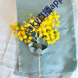 AG真人平台(中国)官方网站