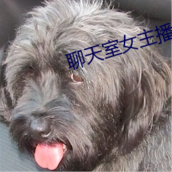 聊天(tiān)室女主播(bō)