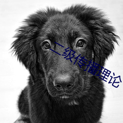 二級傳播理論