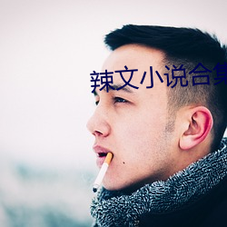 辣文(wn)小说合(h)集