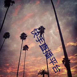 快手直(直)播平台
