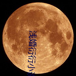 浅婚衍衍小说