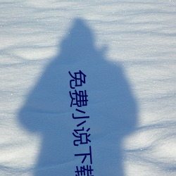 免(miǎn)费小说下(xià)载(zài)