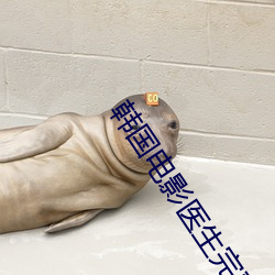 ����ӰϷҽ��������ԢĿ