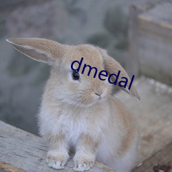 dmedal