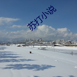 苏打小说