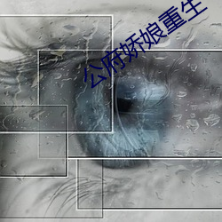 公府(fǔ)娇娘重生
