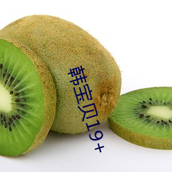 韩(hán)宝贝(bèi)19+