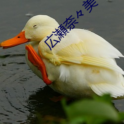 広瀬奈々美