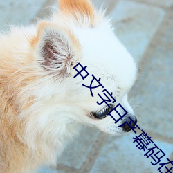 中文字日产幕码在线