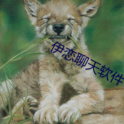 伊恋聊(liáo)天软件