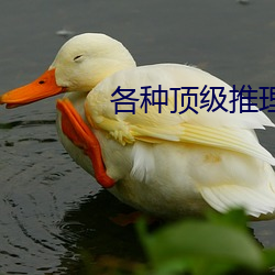 各種頂級推理片