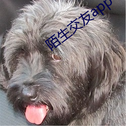 陌生交友app