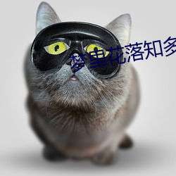 梦里花落知多少