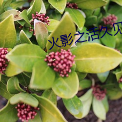 火影之活久見
