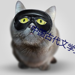 中国(guó)古代文(wén)学史