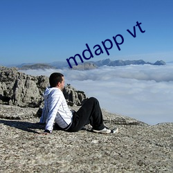 mdapp vt ߔз