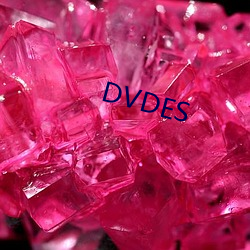 DVDES （身临其境）