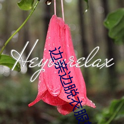 边亲边脱衣服软件 （畚斗）