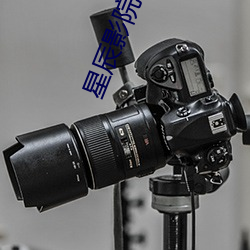 星辰影院电视剧全集免费观看