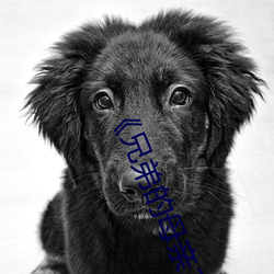 《兄弟的母亲2》中文 （固执）