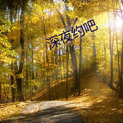 深夜(夜)约吧(吧)