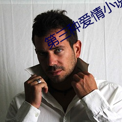 第三种爱情小说