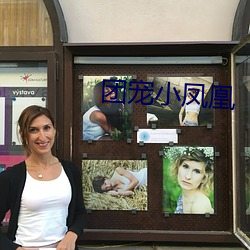 团宠小凤凰