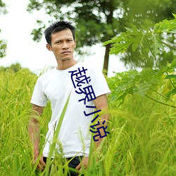 越界小說