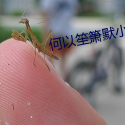 何以笙箫默小说
