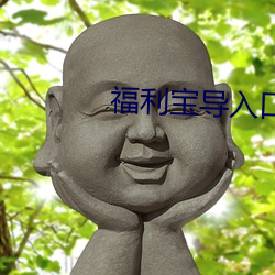 福利宝导入口