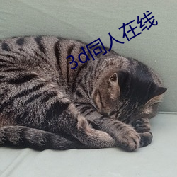 3d同人(rén)在线