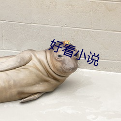 好看小說