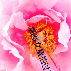 哪些(些)女星拍过三(三)级