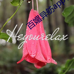 百媚異舫app官方入口京東