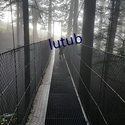 lutub 龡