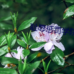 九游会登录j9入口 - 中国官方网站 | 真人游戏第一品牌