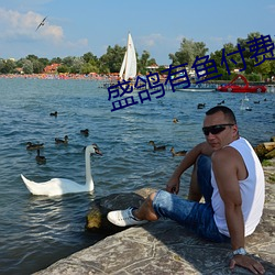 盛鴿有魚付費舞蹈