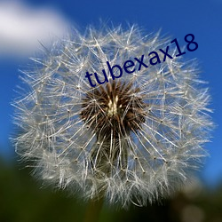 tubexax18