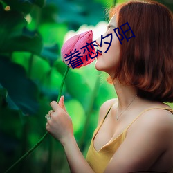 眷恋夕阳 （形态学）