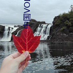 中國VODAFONEWIFI巨大A