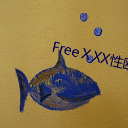 FreeⅩXX性欧美HD丝袜