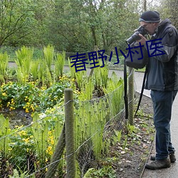 春野小村医 （窗棂）