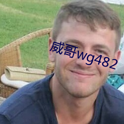 威哥wg482 （家鸽）